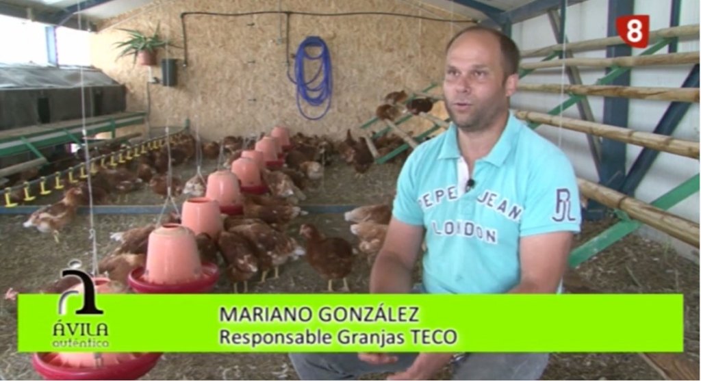 TV Ávila Auténtica