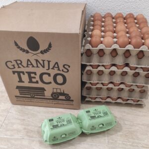 Caja Huevos Ecologicos