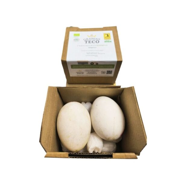 2 huevos de oca